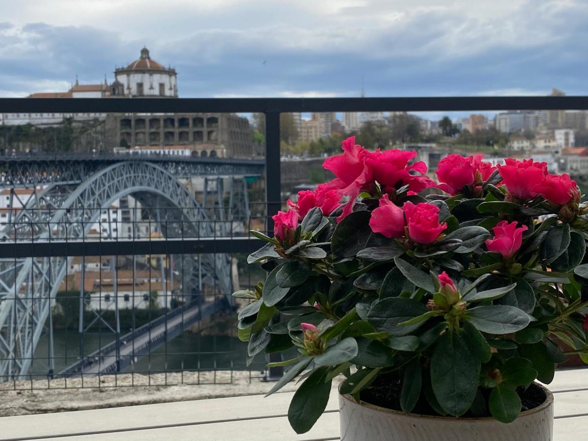 Casa Dona Olga River View 포르투 외부 사진